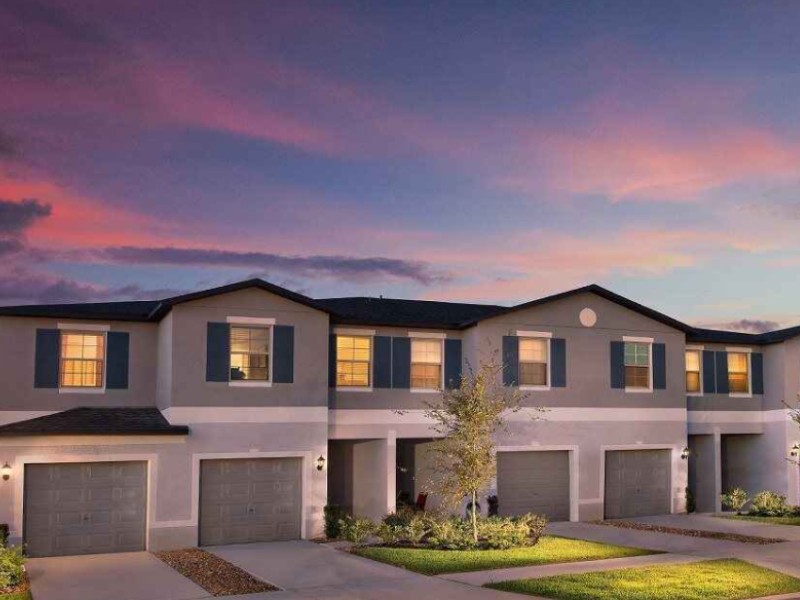 4223 Globe Thistle Dr - Florida - Tampa - 33619