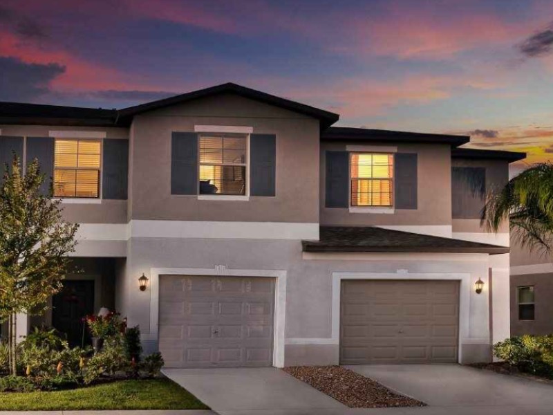 4223 Globe Thistle Dr - Florida - Tampa - 33619