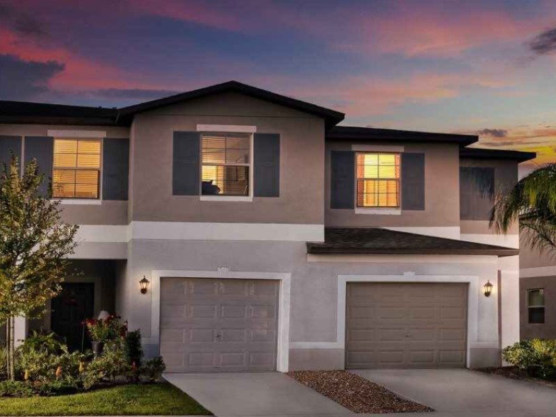 4223 Globe Thistle Dr - Florida - Tampa - 33619
