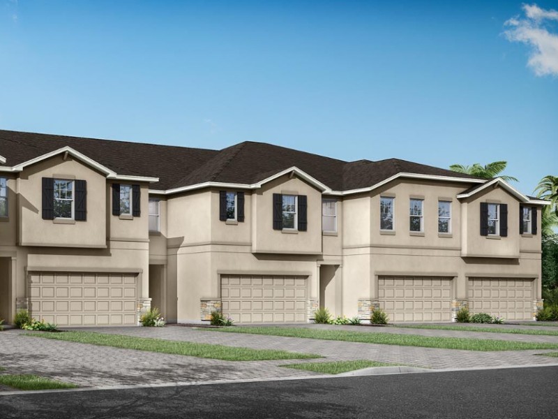 19222 Blue Pond Drive - Florida - Tampa - 33558