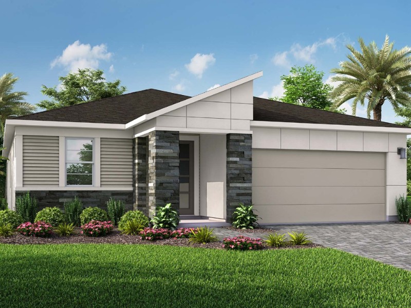19222 Blue Pond Drive - Florida - Tampa - 33558