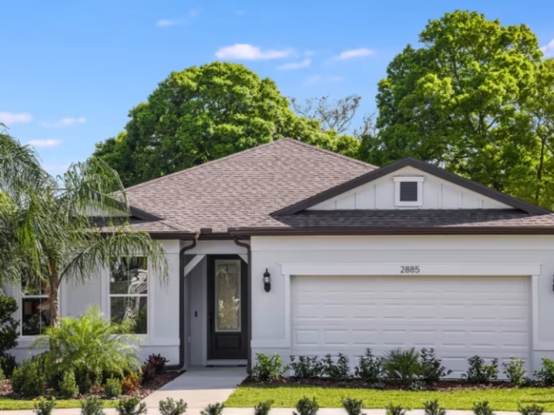 2873 Buckhorn Forest Drive - Florida - Tampa - 33594