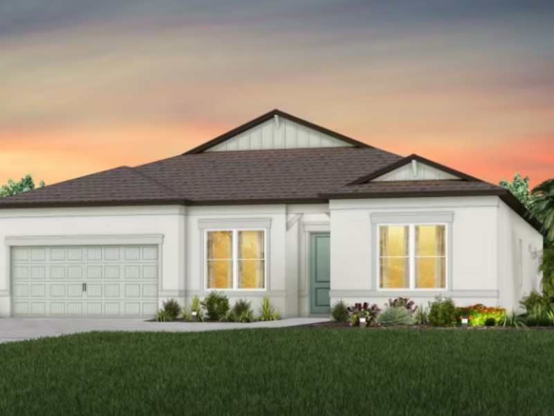 2873 Buckhorn Forest Drive - Florida - Tampa - 33594