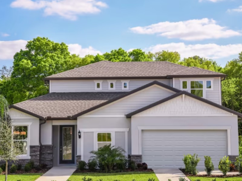 2873 Buckhorn Forest Drive - Florida - Tampa - 33594
