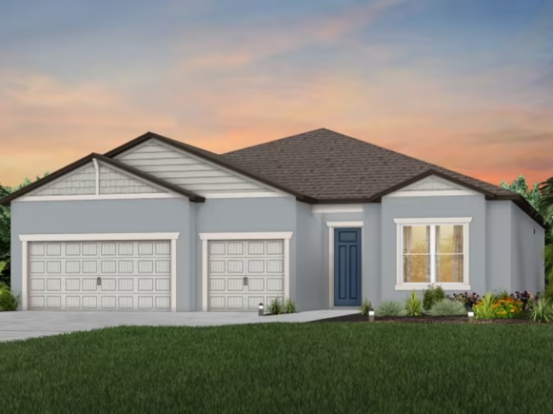 2873 Buckhorn Forest Drive - Florida - Tampa - 33594
