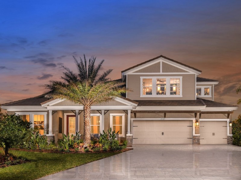 243 Mossy River Ct - Florida - Tampa - 33511