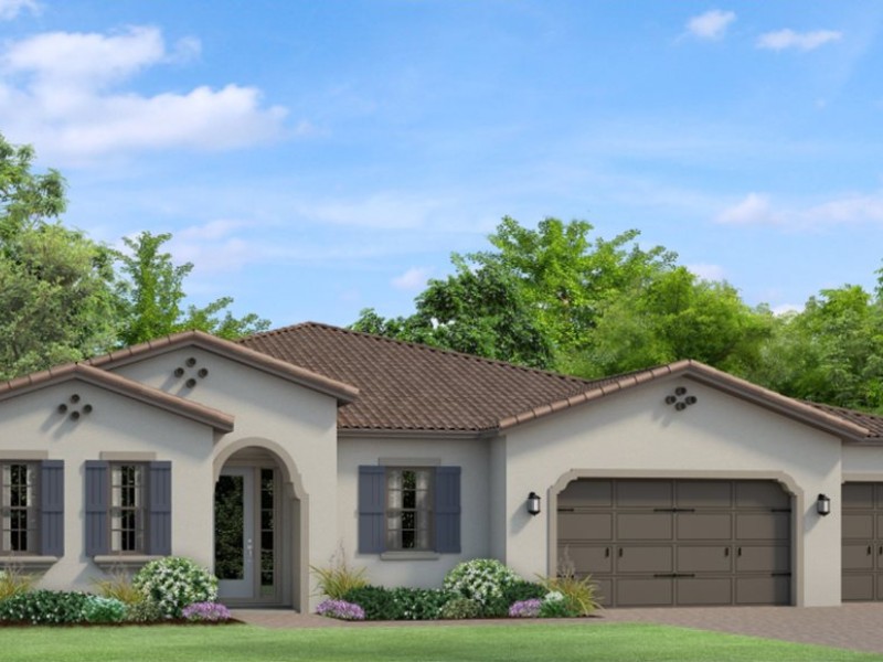 6162 Marsh Trail Drive - Florida - Tampa - 33556