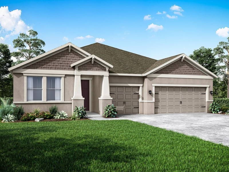 3925 Coconut Palm Dr. Suite 117 - Florida - Tampa - 33619