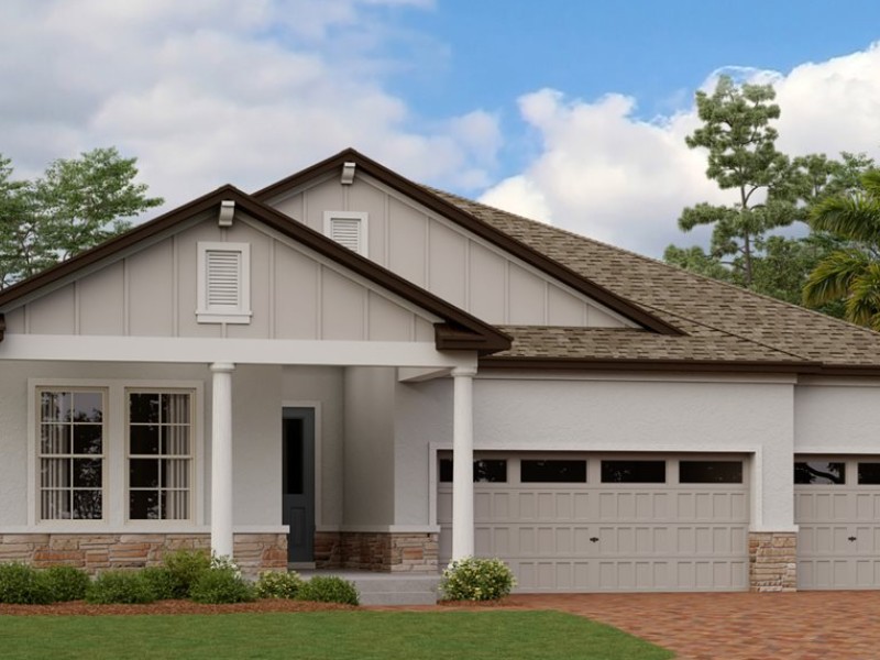 19410 Forest Garden Ct - Florida - Tampa - 34601