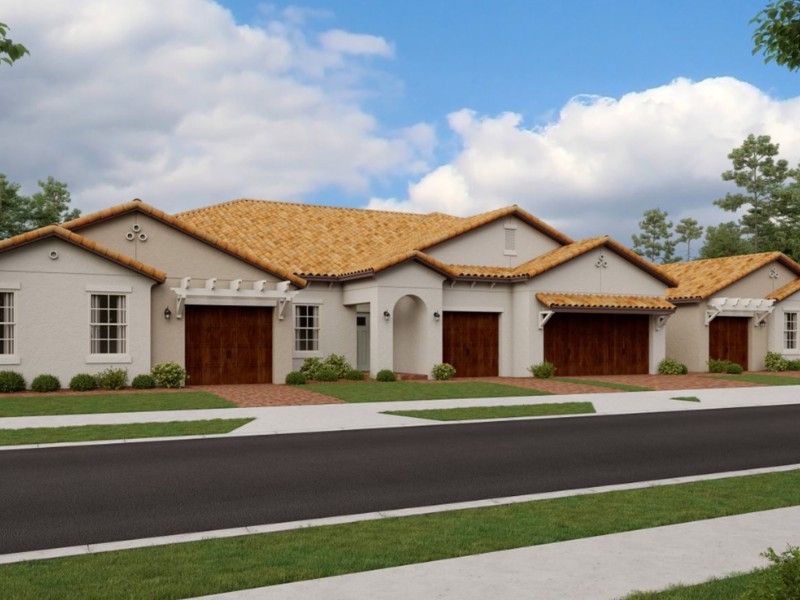 16910 Scuba Crest St - Florida - Tampa - 33598
