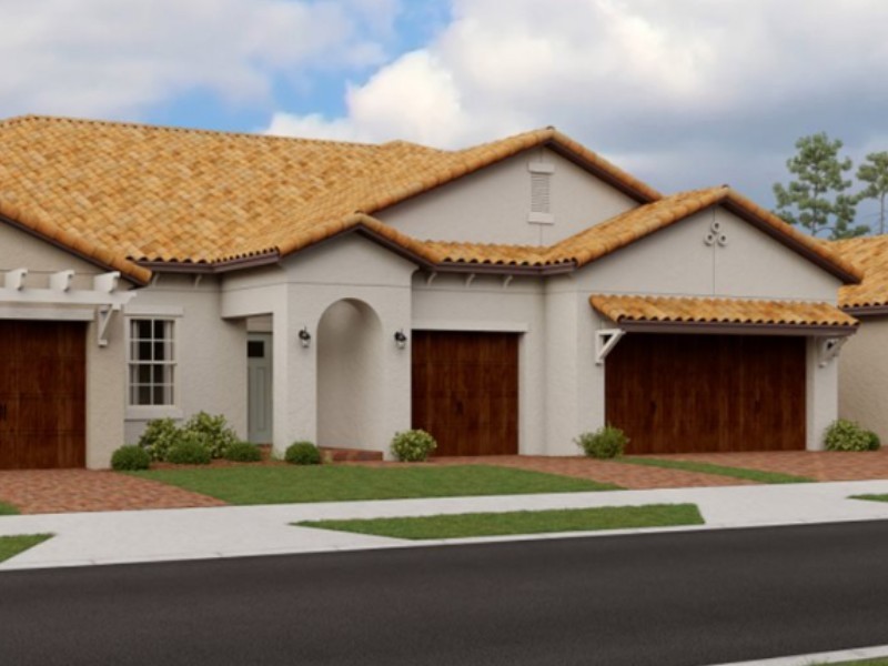 16910 Scuba Crest St - Florida - Tampa - 33598