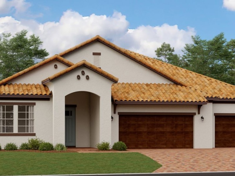 16910 Scuba Crest St - Florida - Tampa - 33598