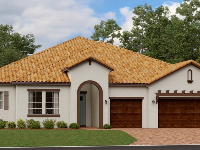 16910 Scuba Crest St - Florida - Tampa - 33598